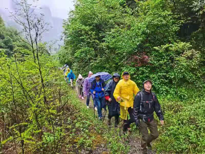 微信图片_2021050617435423