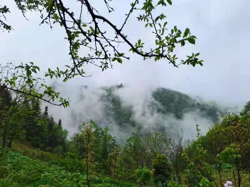 微信图片_2021050617435424