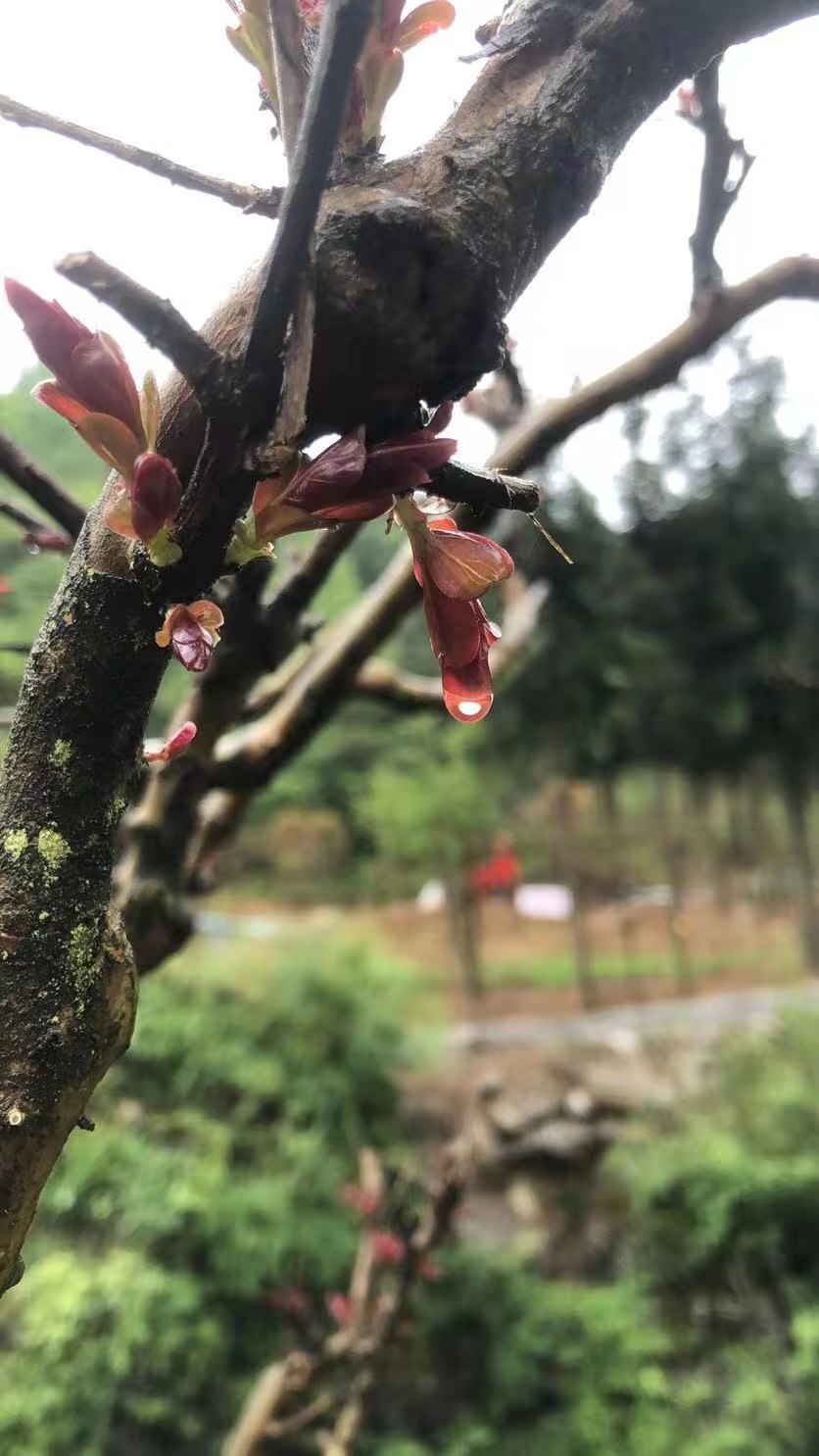 微信图片_2021050617435435