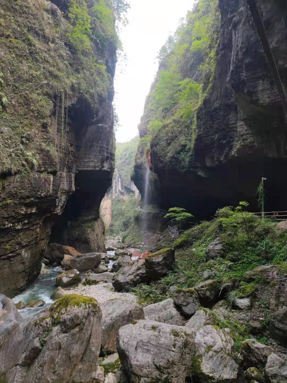 微信图片_2021050617435440