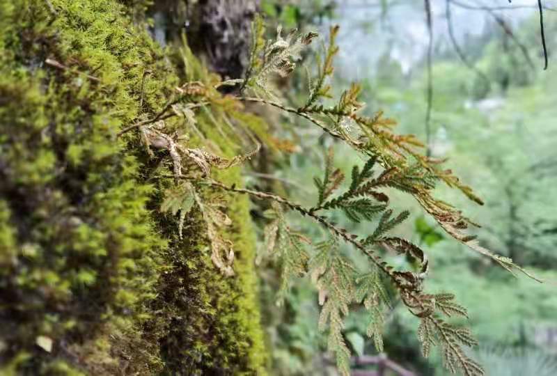 微信图片_2021050617435445