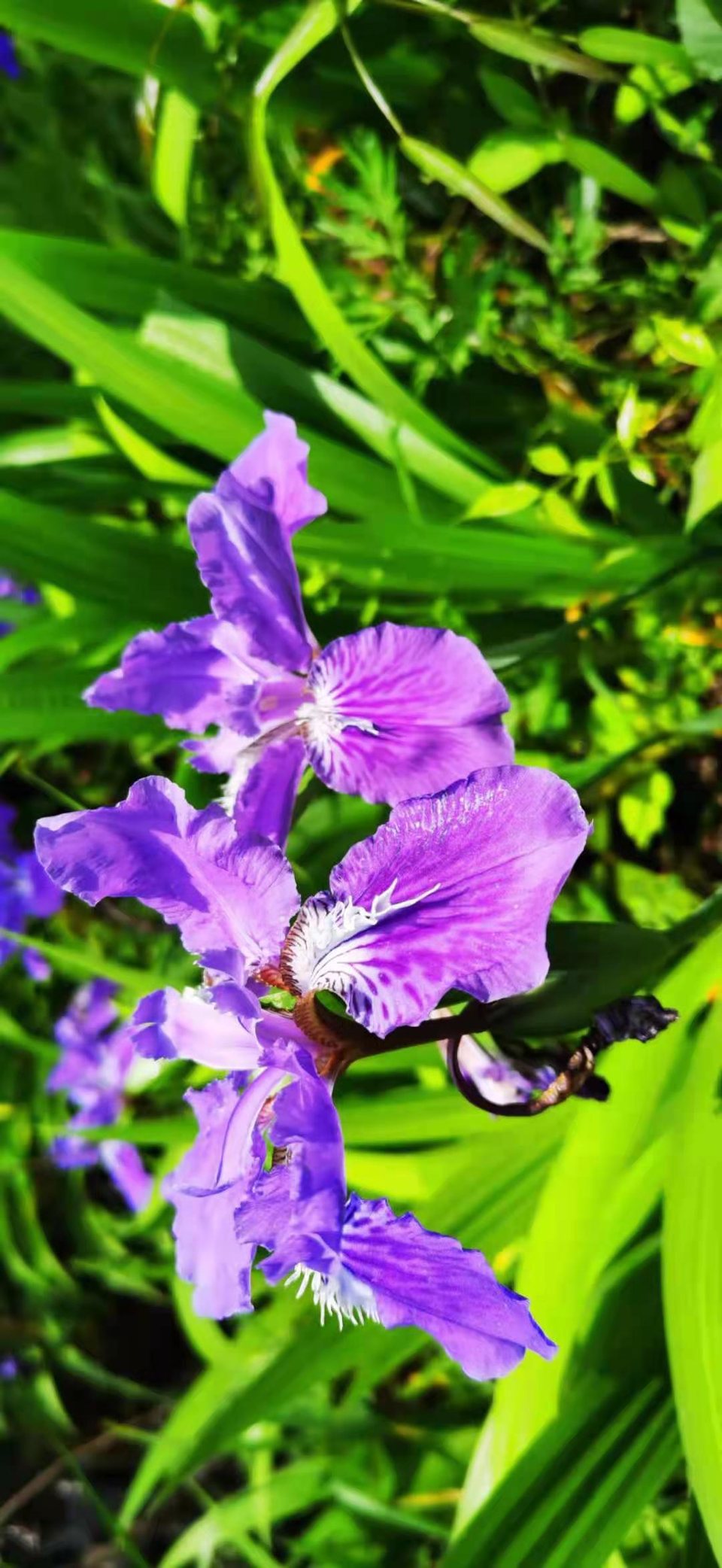 微信图片_2021050617435447