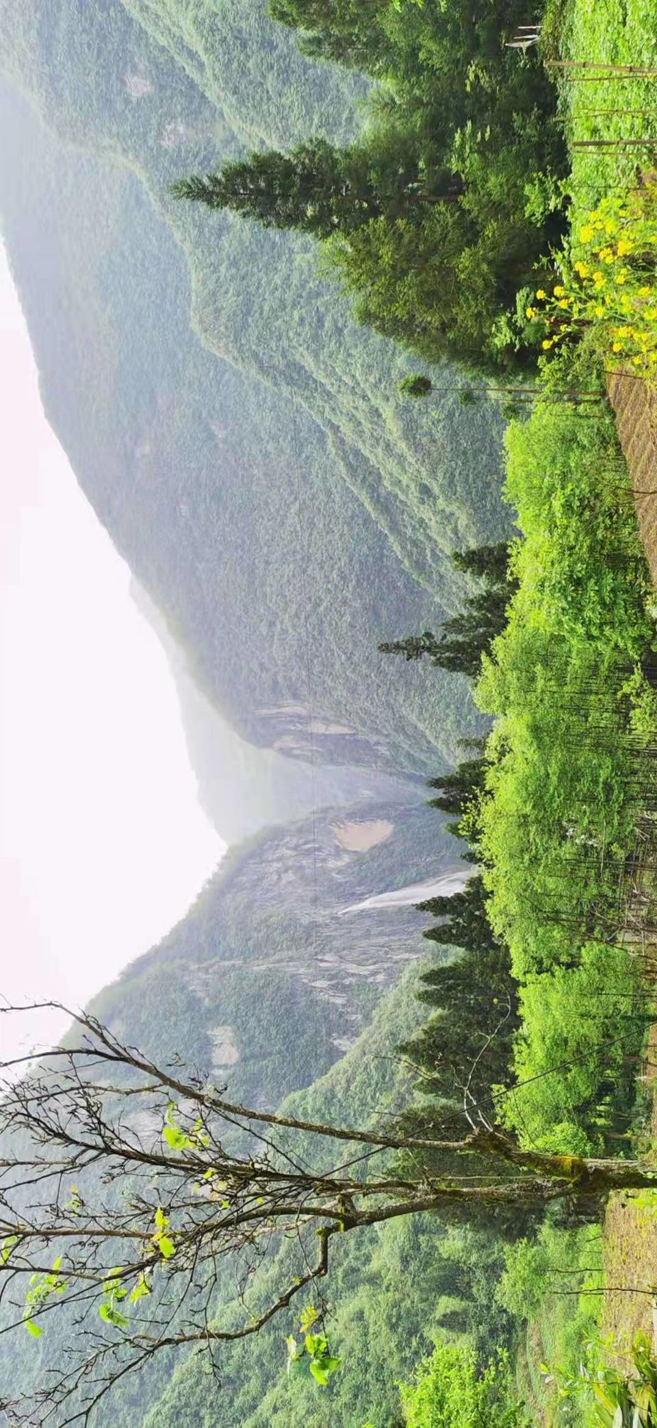 微信图片_2021050617435450