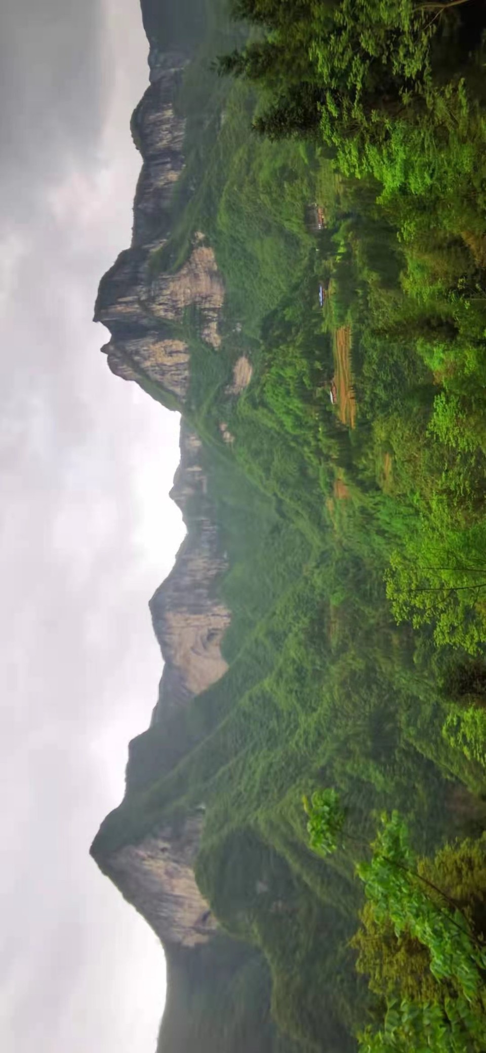 微信图片_2021050617435451