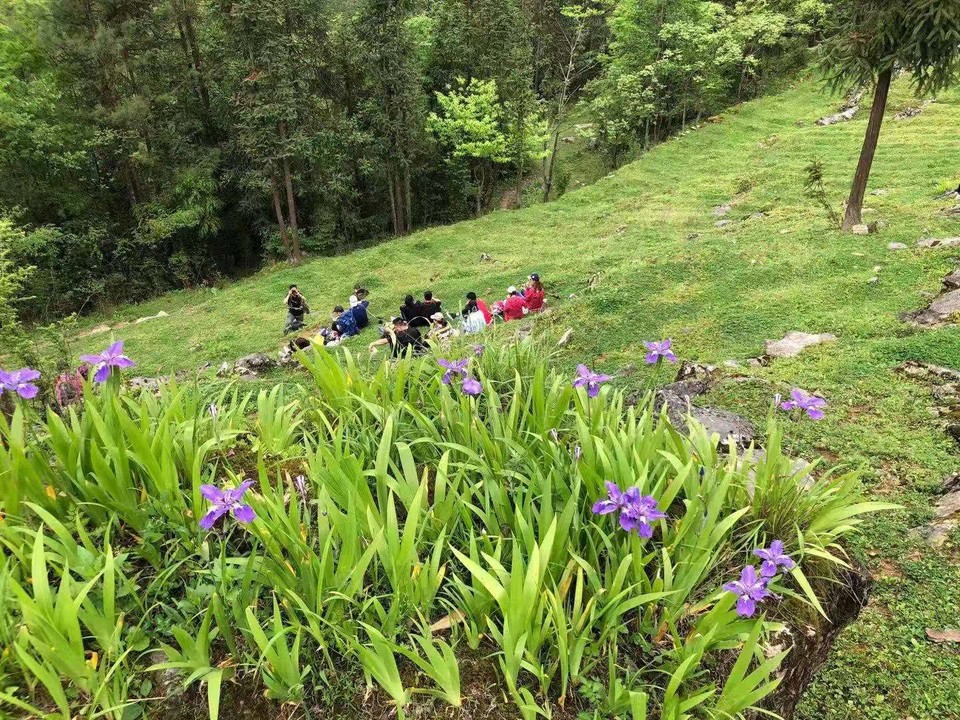 微信图片_2021050617435453