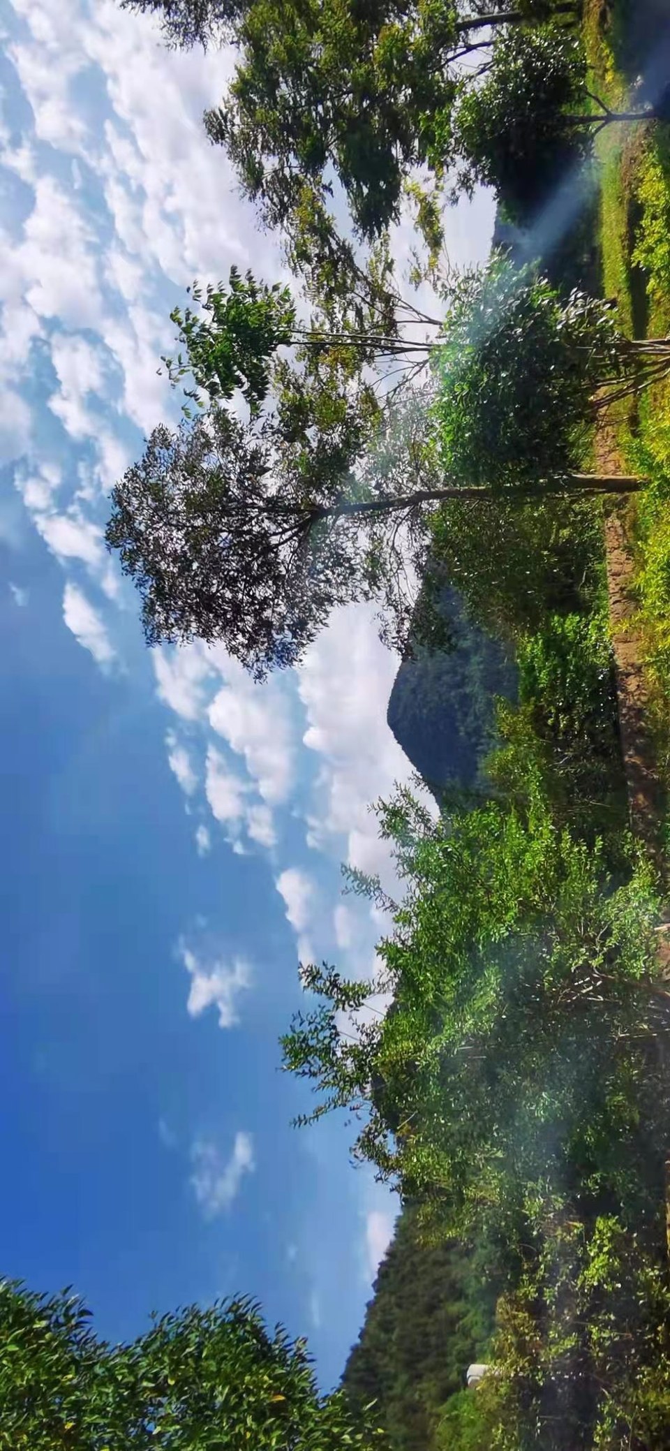 微信图片_2021050617435511