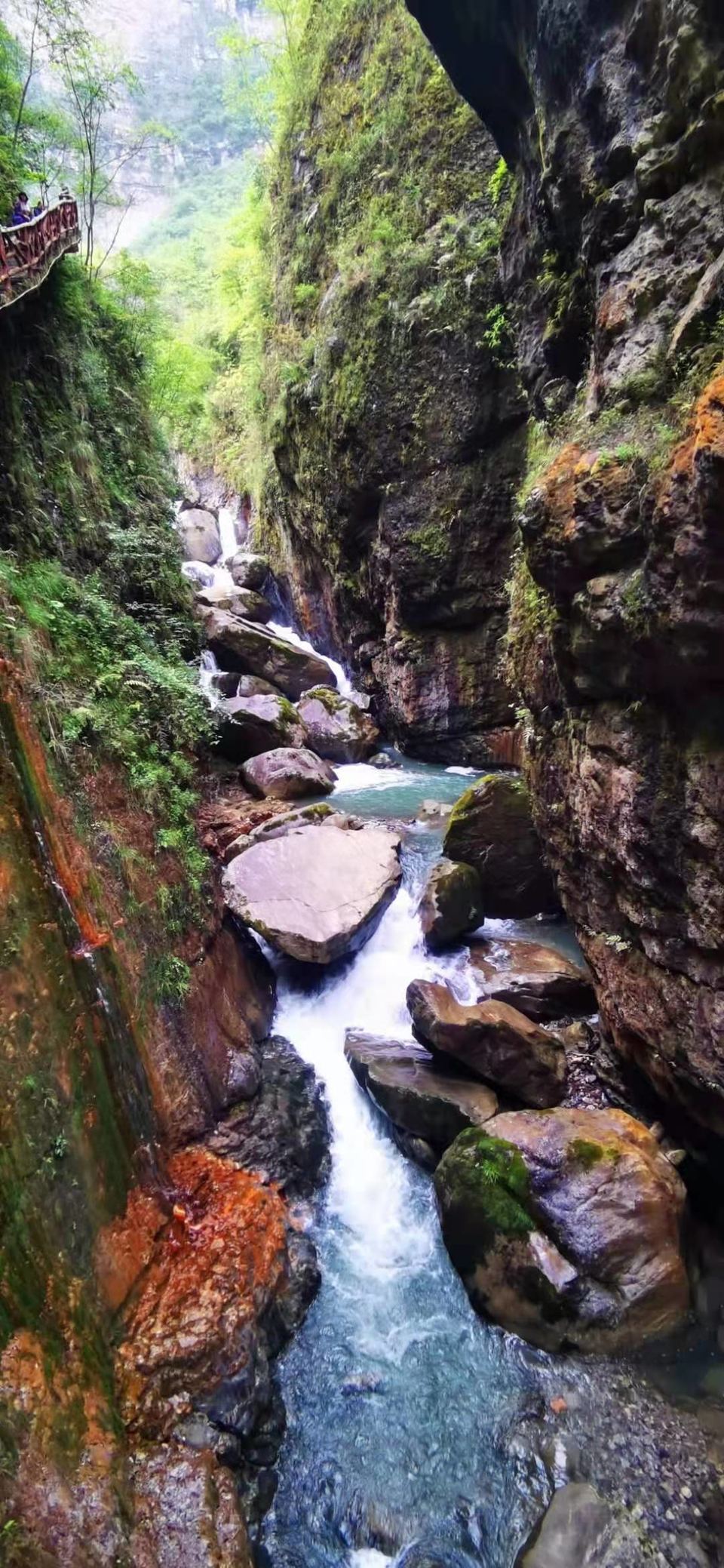 微信图片_2021050617435513