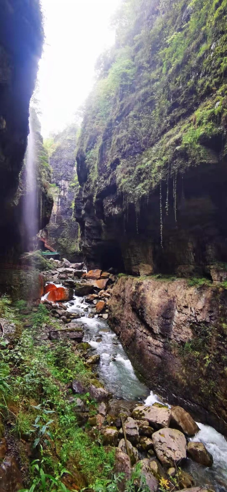 微信图片_2021050617435515