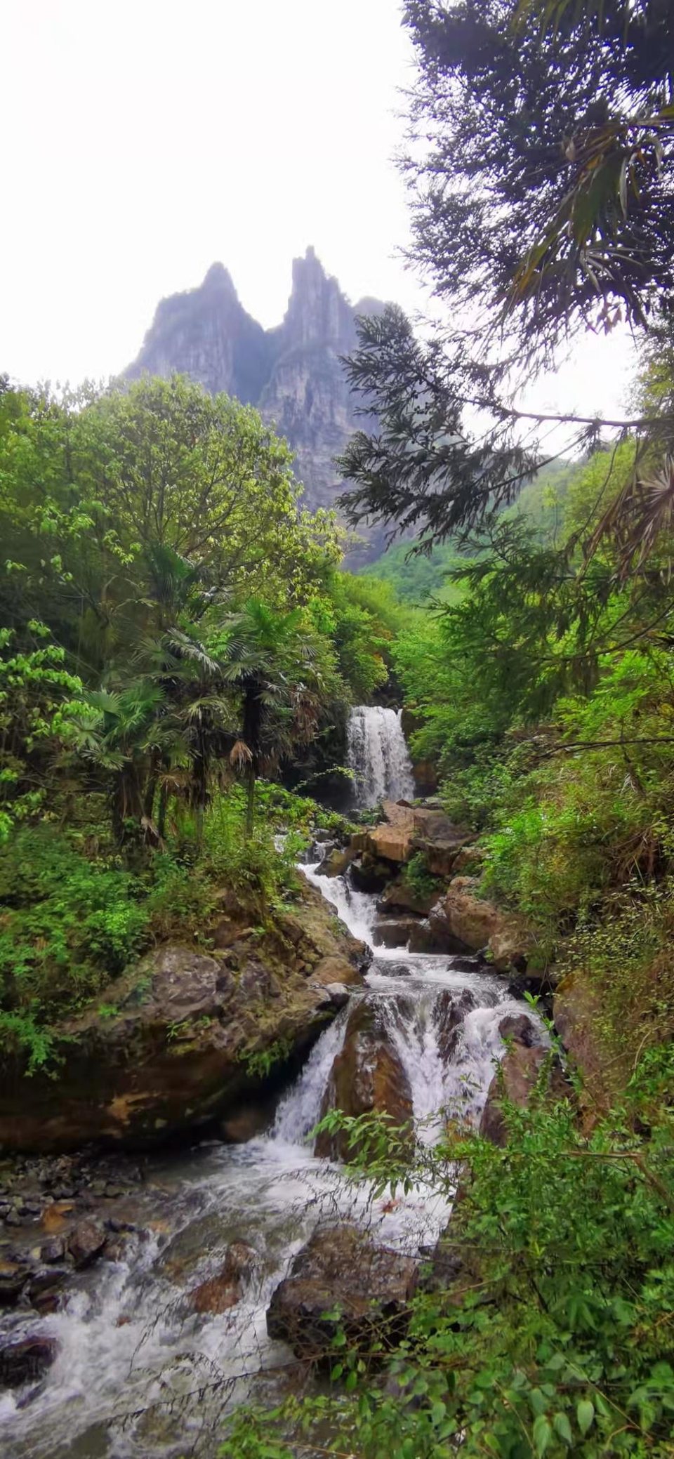 微信图片_2021050617435516