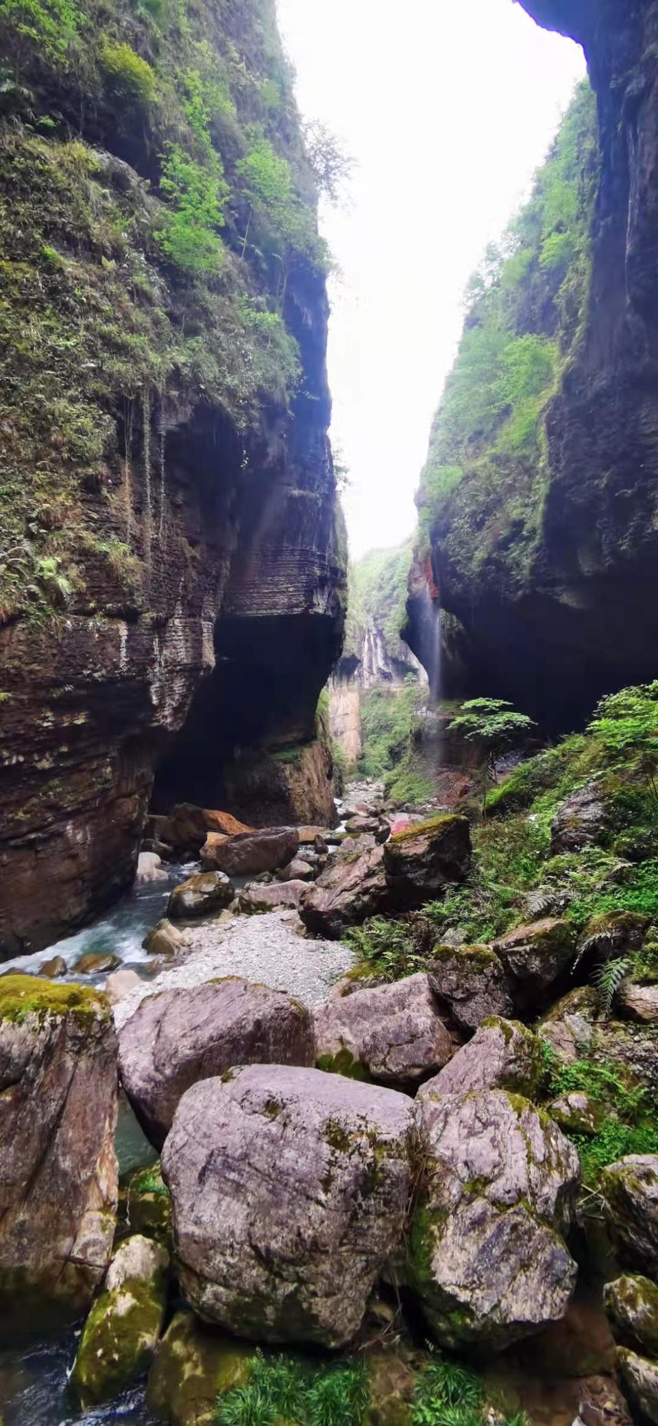 微信图片_2021050617435517