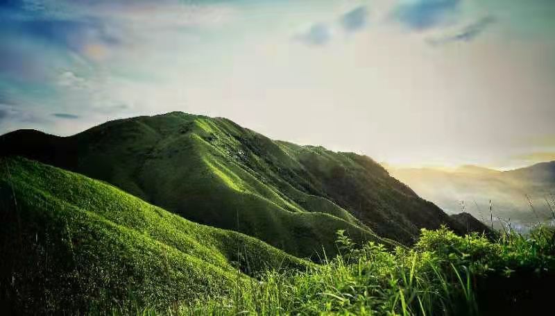 微信图片_202106161559411