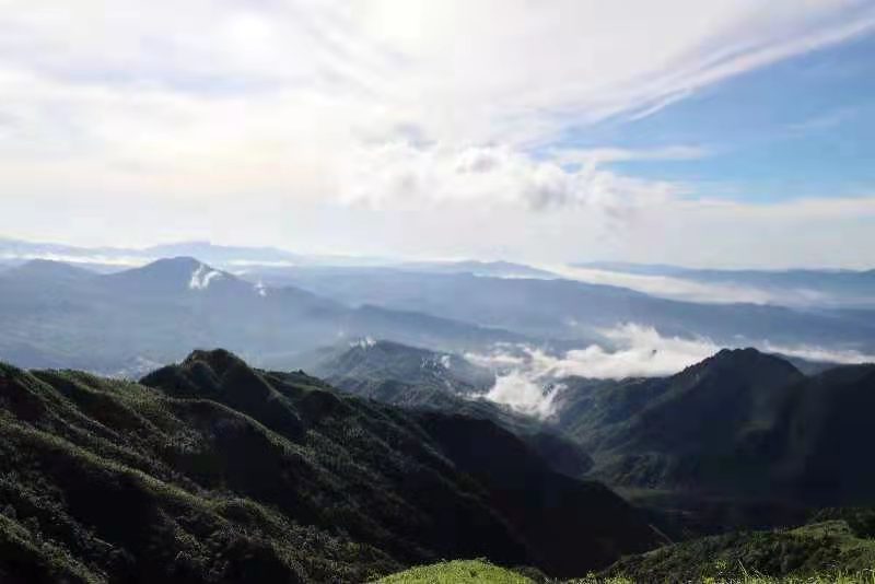 微信图片_202106161559417