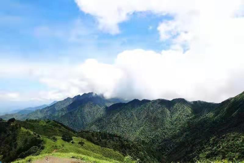 微信图片_2021061615594113