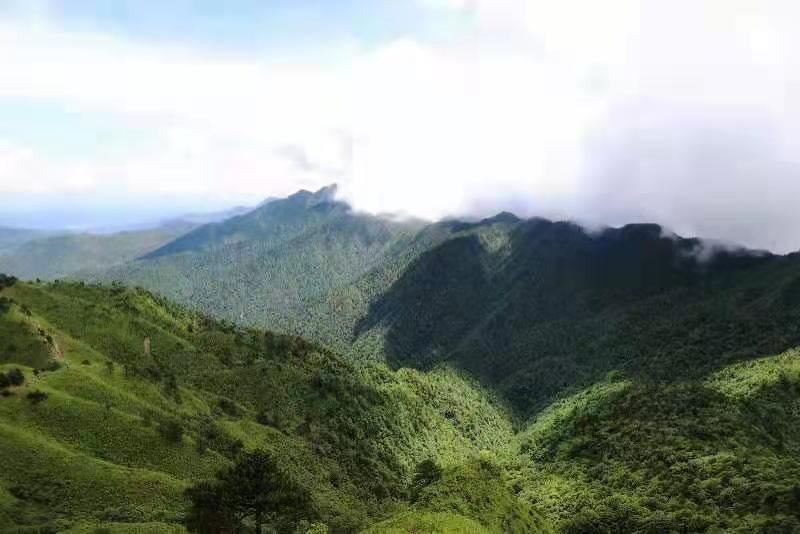 微信图片_2021061615594114