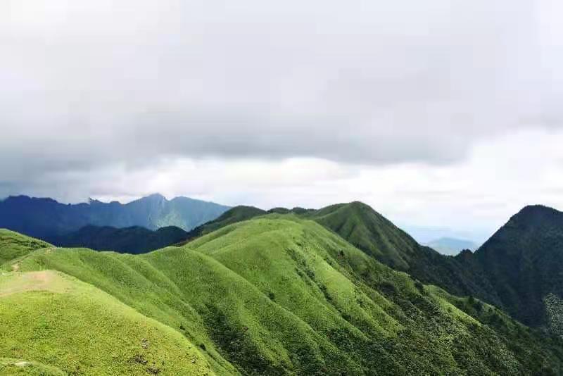 微信图片_2021061615594117