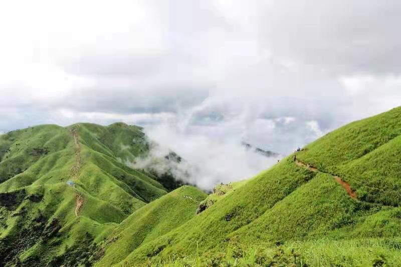 微信图片_2021061615594122