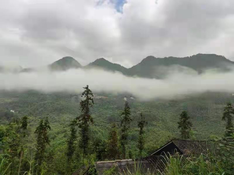 微信图片_20210616154043