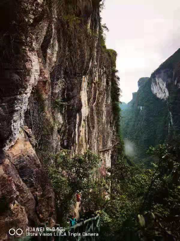 微信图片_202106161540428