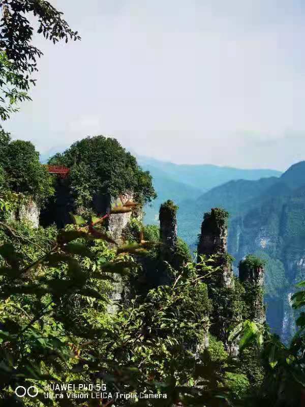 微信图片_202106161540429