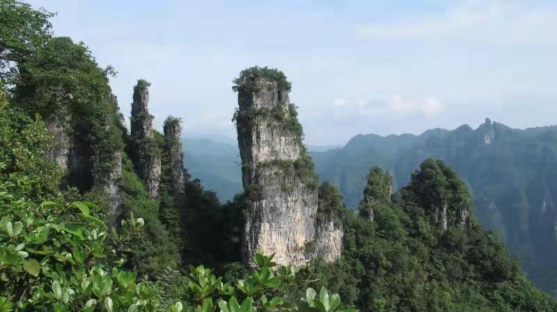 微信图片_202106161540439