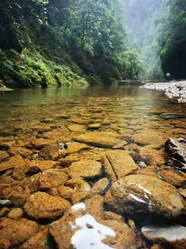 微信图片_2021061615404311