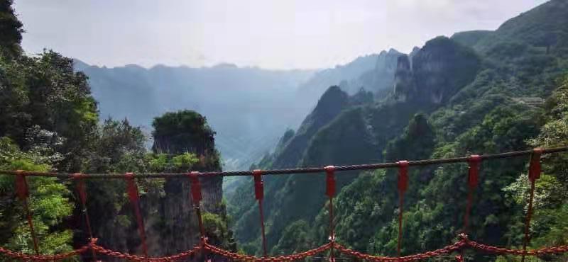 微信图片_202106161540422