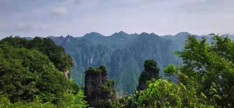 微信图片_202106161540421