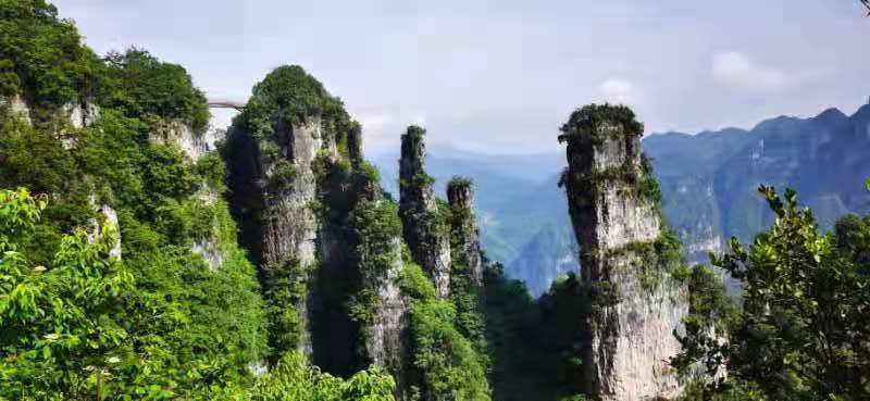 微信图片_202106161540424