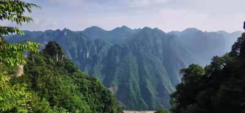 微信图片_202106161540423