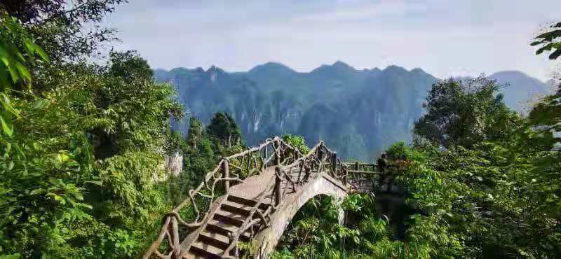 微信图片_202106161540425