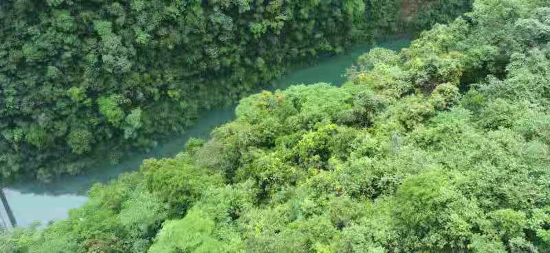 微信图片_202106161540427