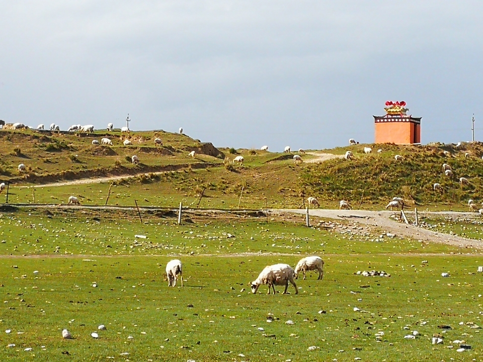 微信图片_20210707160822