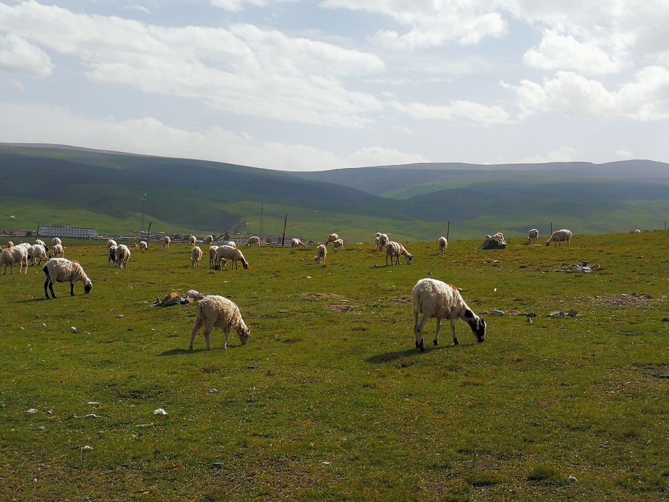 微信图片_20210707160903