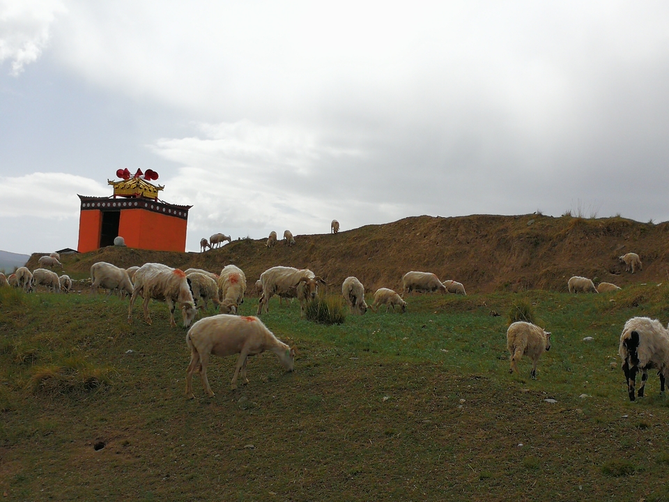 微信图片_20210707161036