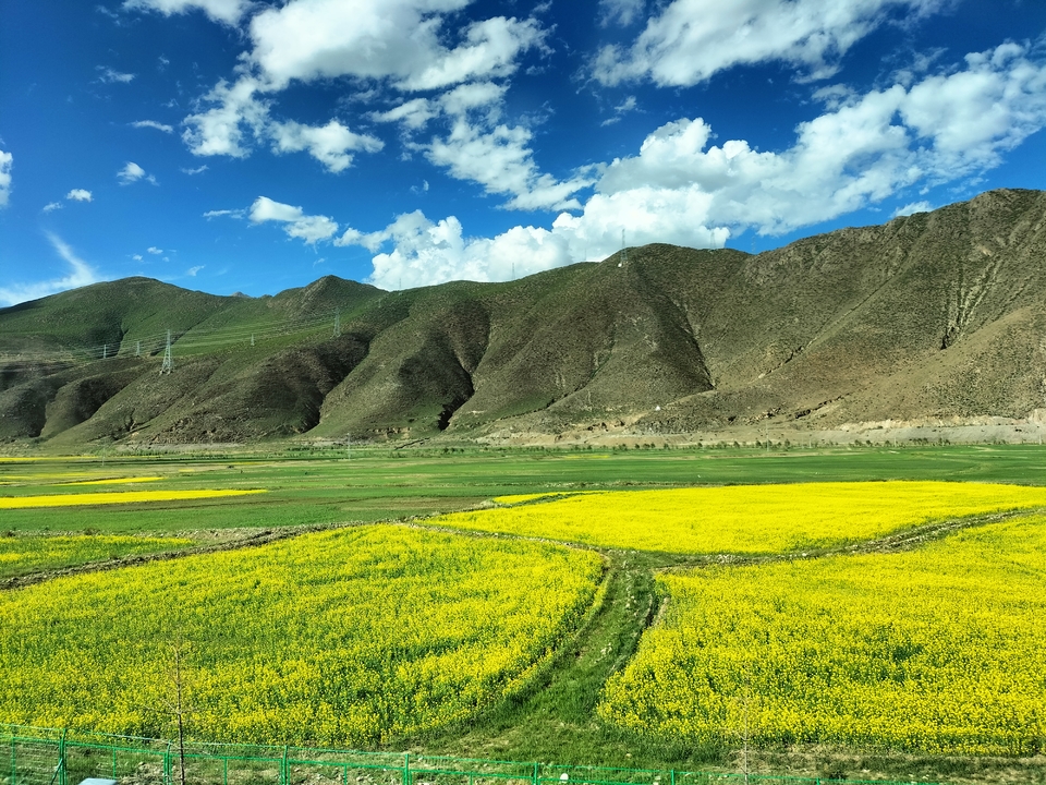 微信图片_2021062916335129