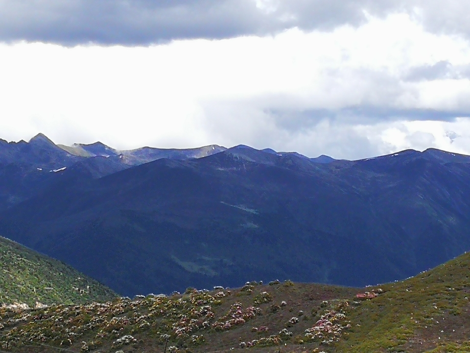 微信图片_2021062916335143