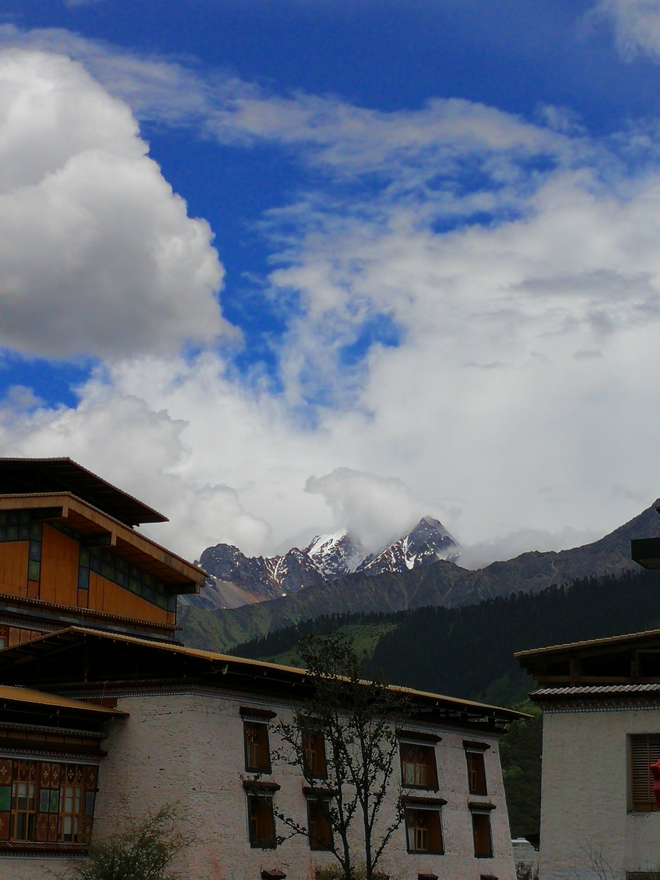 微信图片_2021062916335144