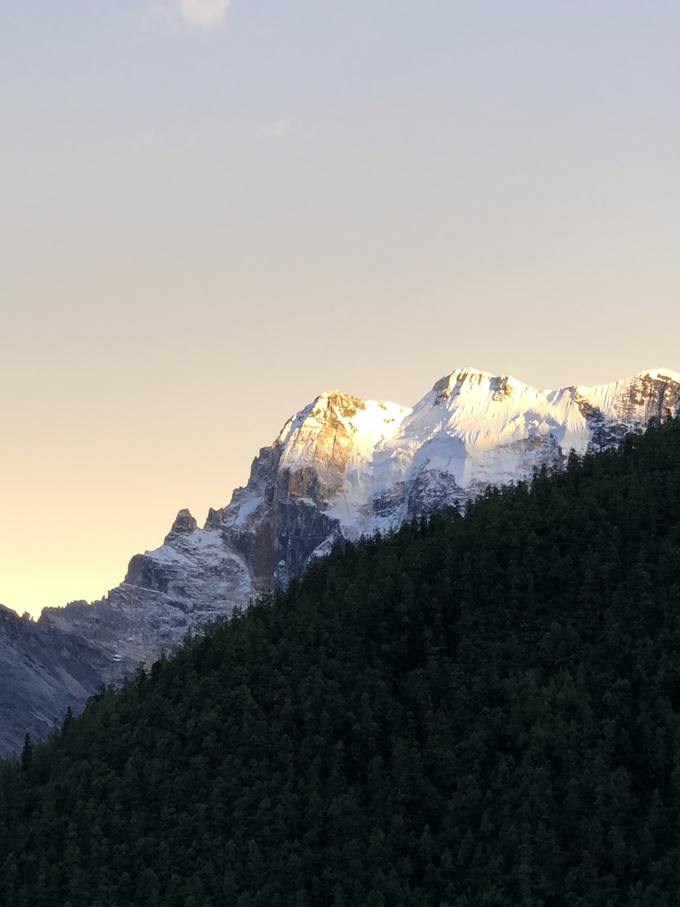 微信图片_2021062916335222