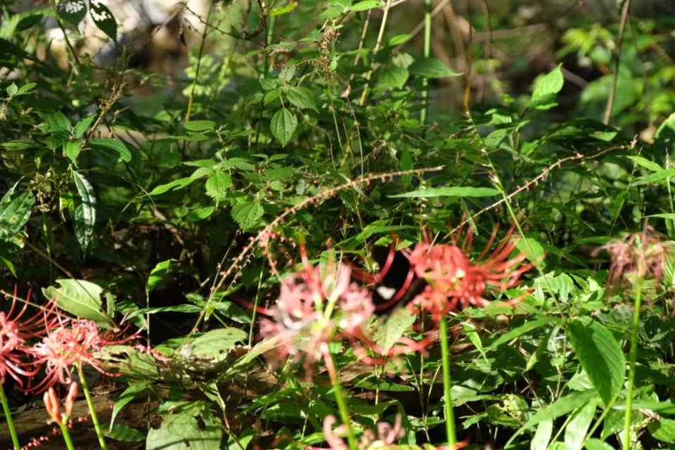 微信图片_202109131628535