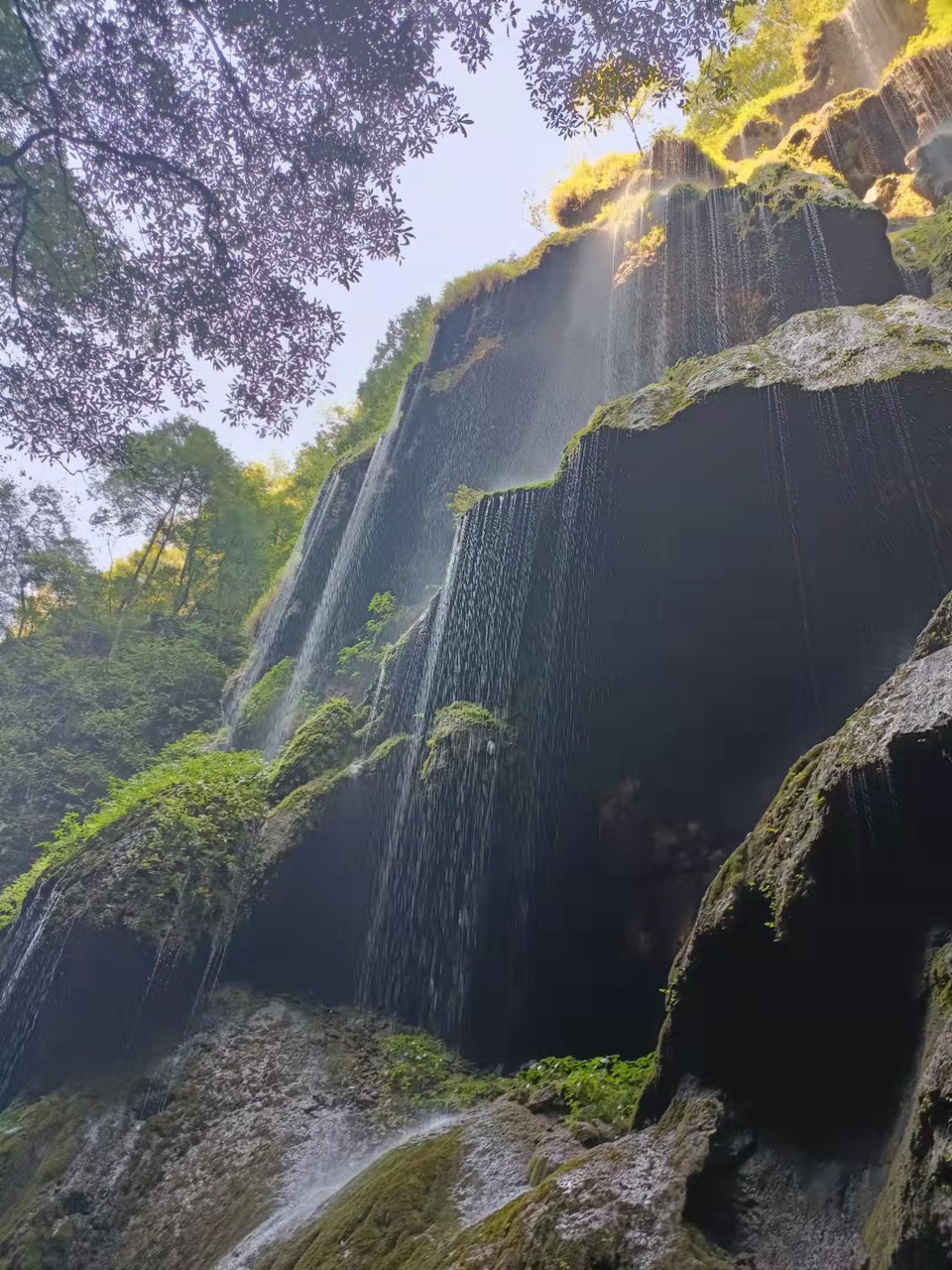 微信图片_202109131630445