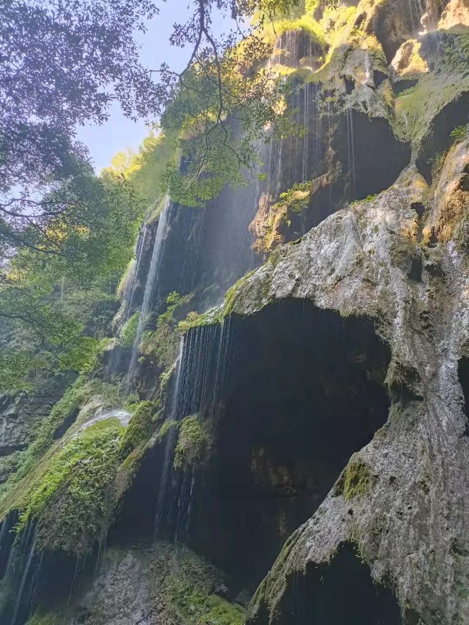 微信图片_202109131630446