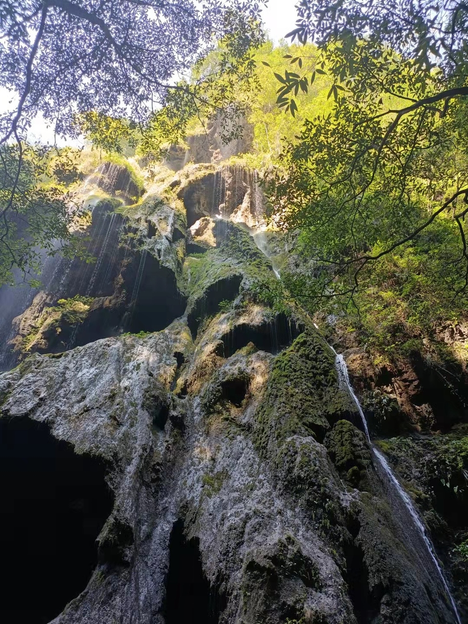 微信图片_202109131630447