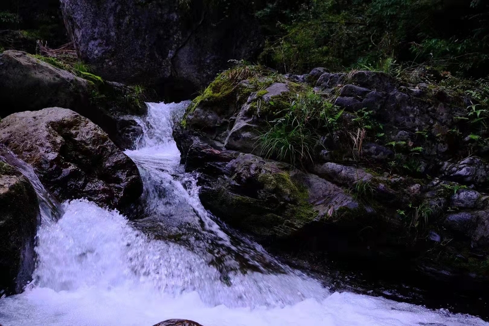 微信图片_202109131634294