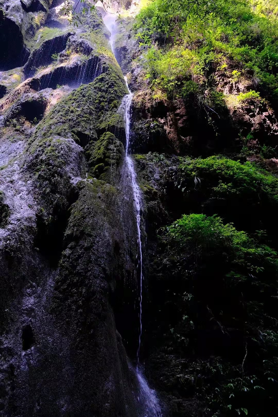 微信图片_202109131634297