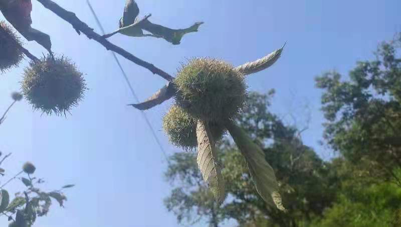 微信图片_202109131648063