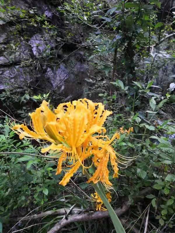 微信图片_202109131648066