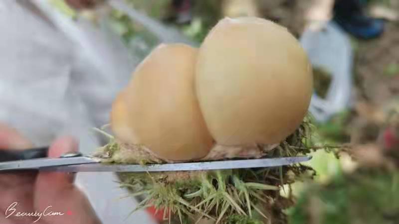 微信图片_202109131648472