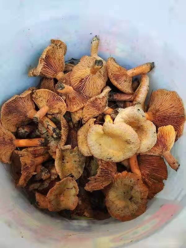 微信图片_202109131648473