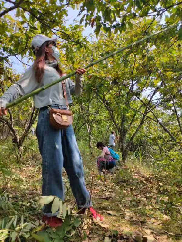 微信图片_202109131648474