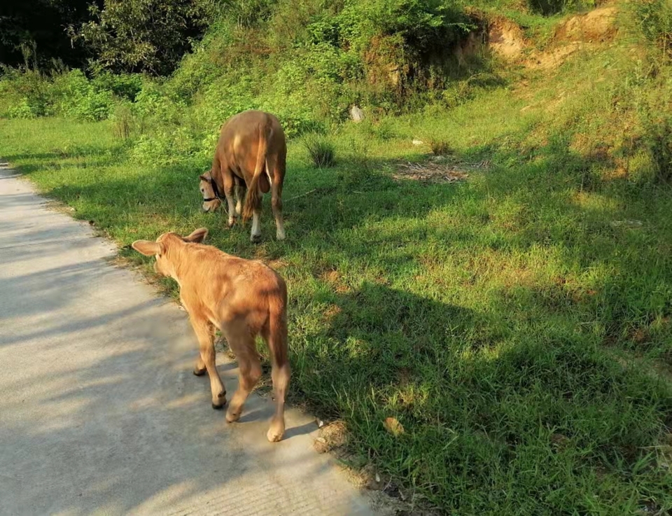 微信图片_202109131649272